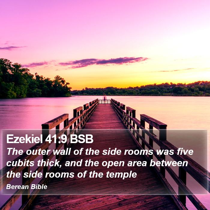 Ezekiel 41:9 BSB Bible Study