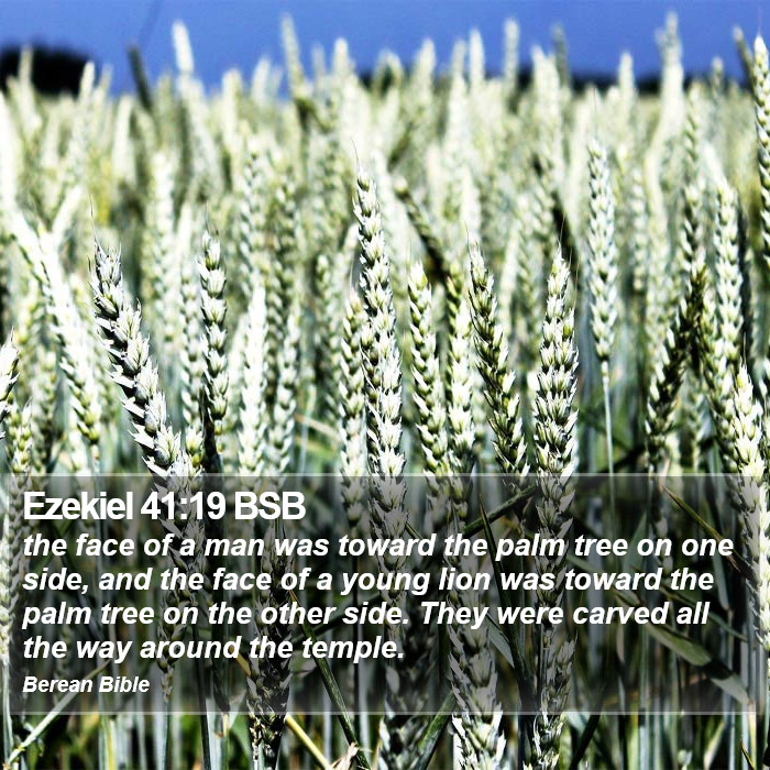 Ezekiel 41:19 BSB Bible Study