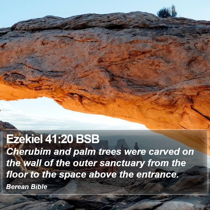 Ezekiel 41:20 BSB Bible Study