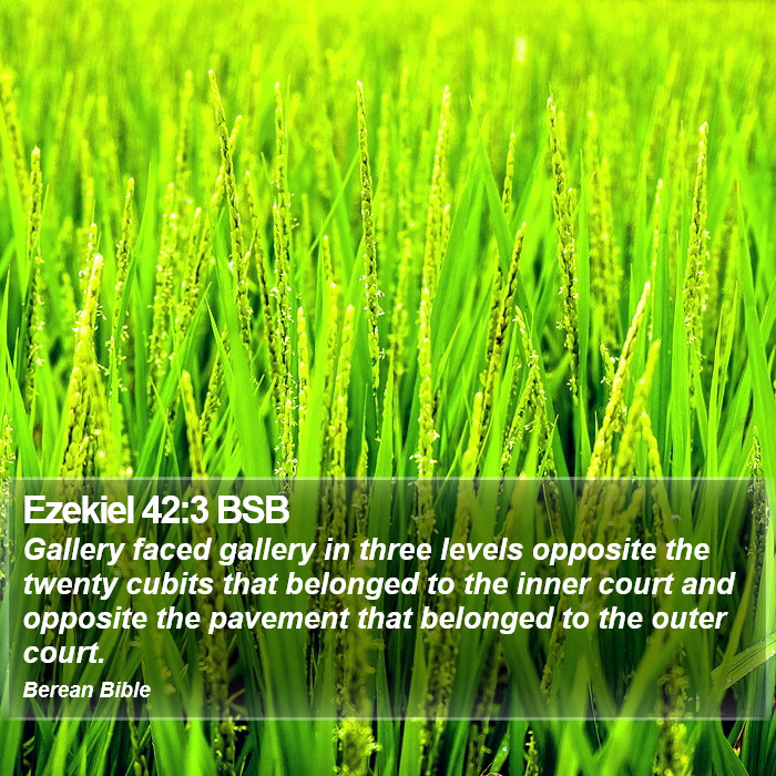 Ezekiel 42:3 BSB Bible Study