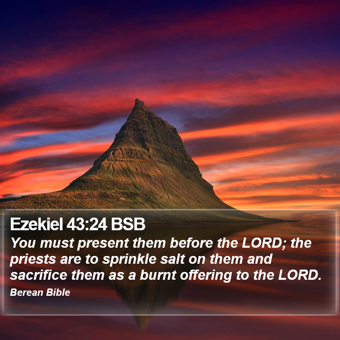 Ezekiel 43:24 BSB Bible Study