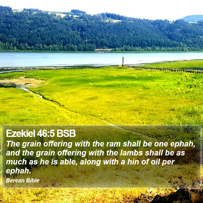 Ezekiel 46:5 BSB Bible Study