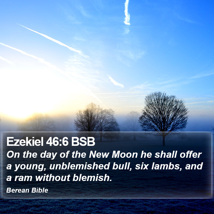 Ezekiel 46:6 BSB Bible Study