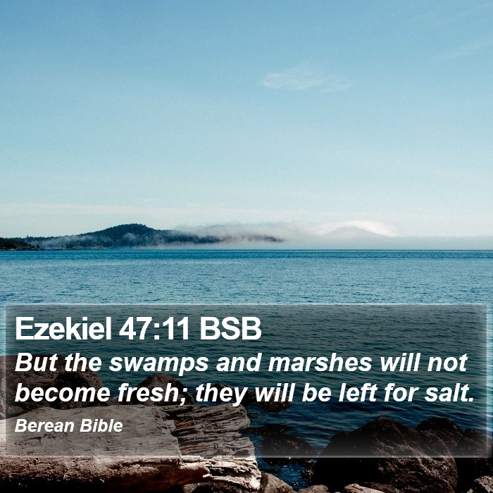 Ezekiel 47:11 BSB Bible Study