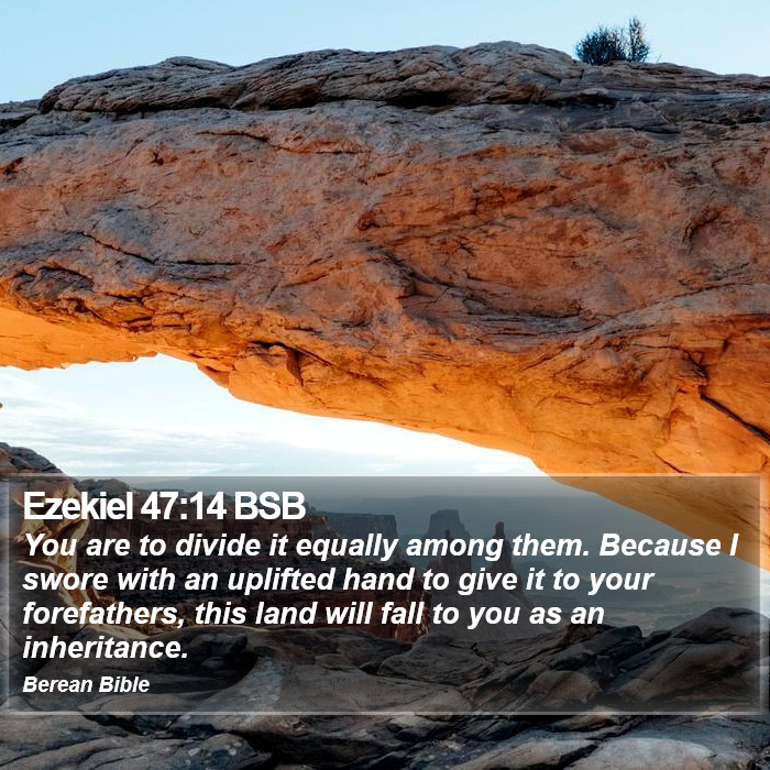 Ezekiel 47:14 BSB Bible Study