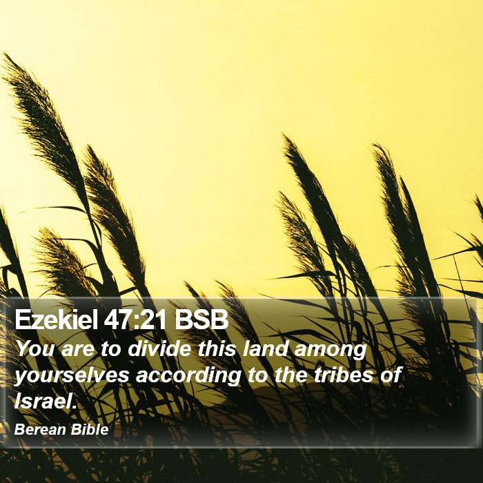 Ezekiel 47:21 BSB Bible Study