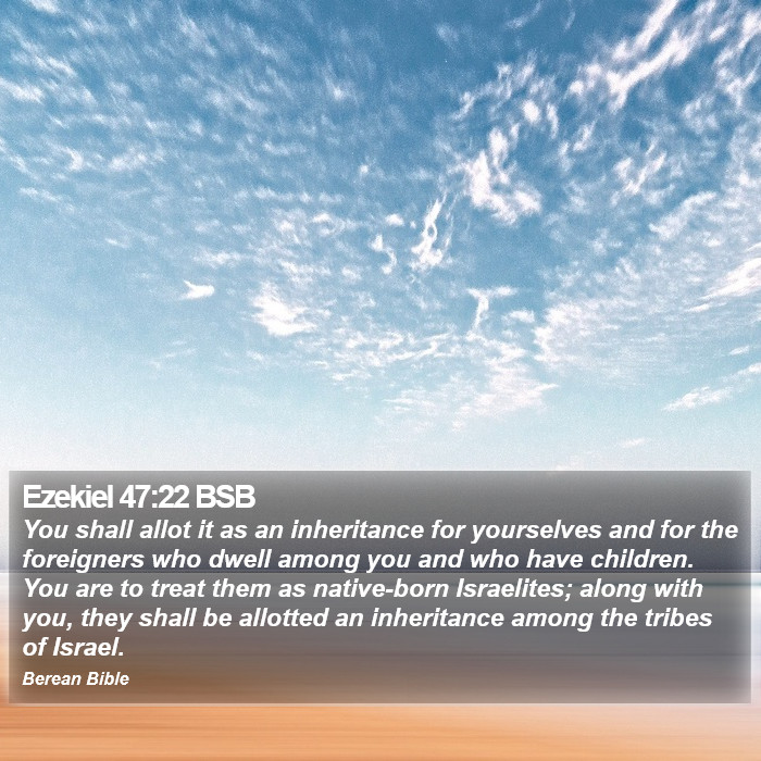 Ezekiel 47:22 BSB Bible Study