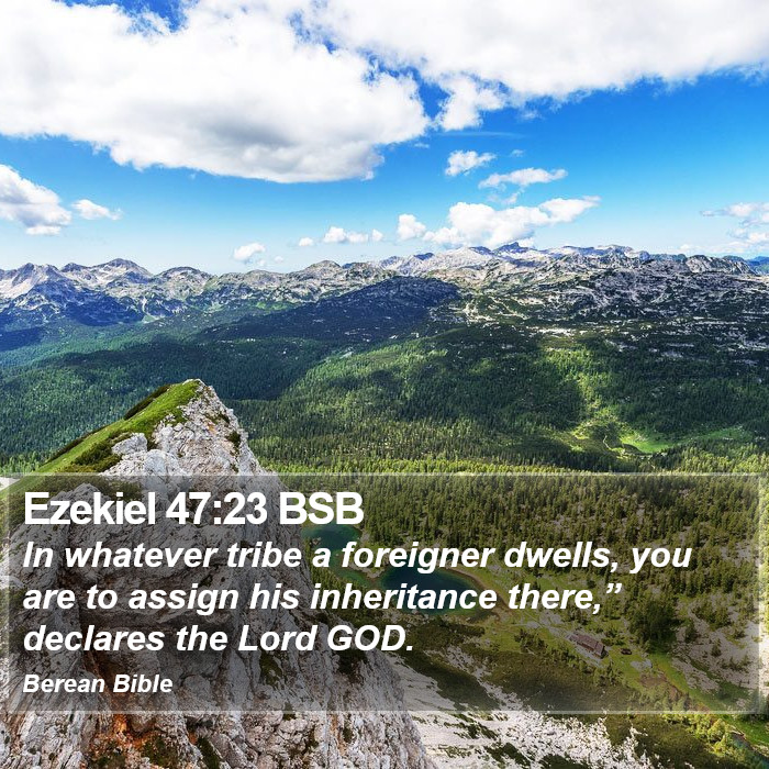 Ezekiel 47:23 BSB Bible Study