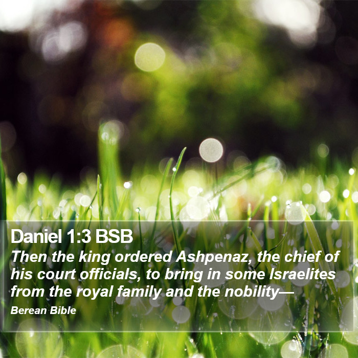 Daniel 1:3 BSB Bible Study