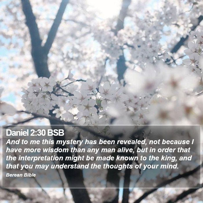 Daniel 2:30 BSB Bible Study