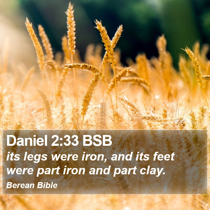 Daniel 2:33 BSB Bible Study