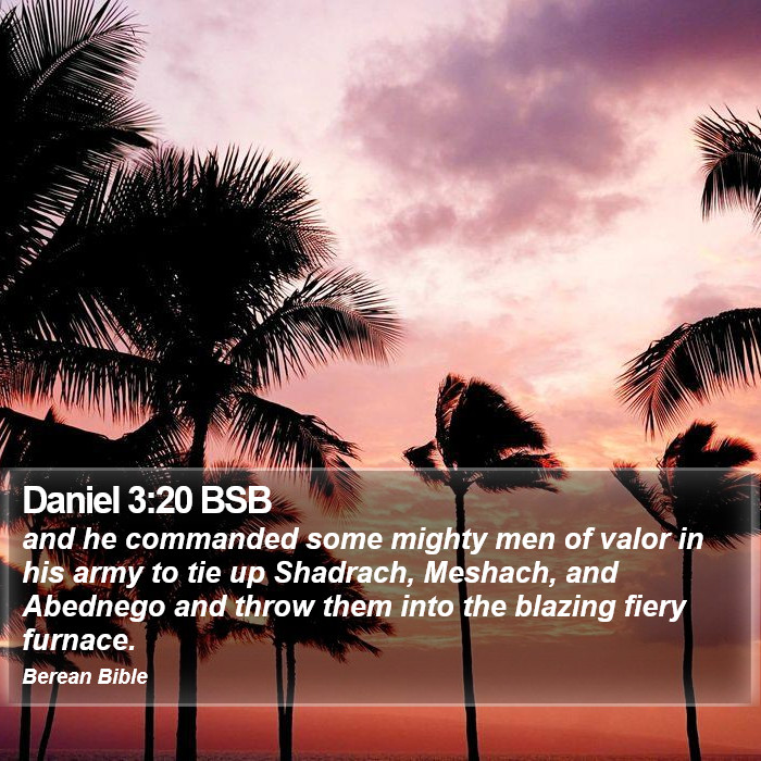 Daniel 3:20 BSB Bible Study