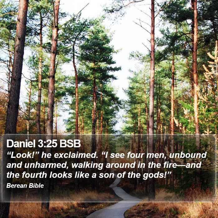 Daniel 3:25 BSB Bible Study