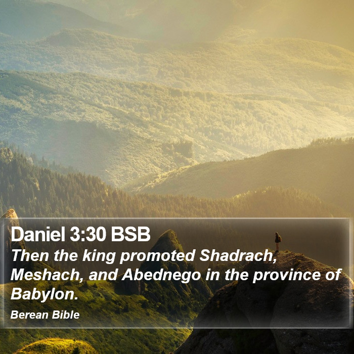 Daniel 3:30 BSB Bible Study