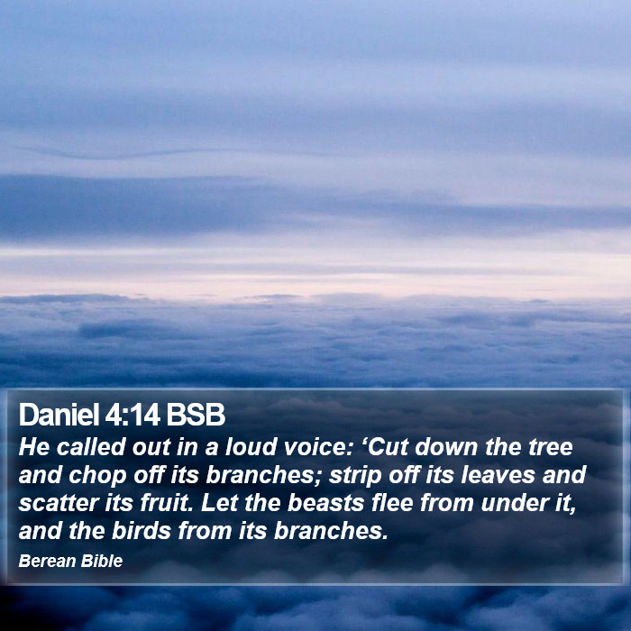 Daniel 4:14 BSB Bible Study