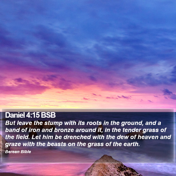 Daniel 4:15 BSB Bible Study