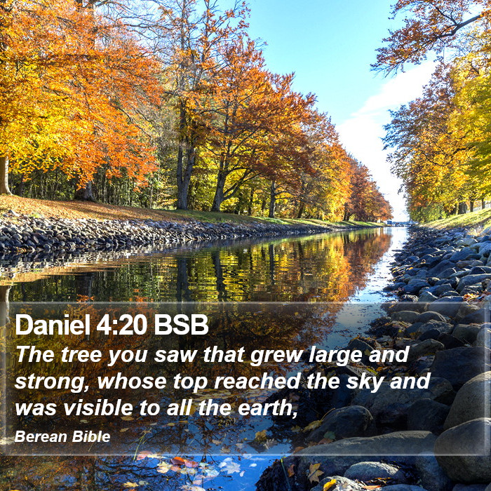 Daniel 4:20 BSB Bible Study