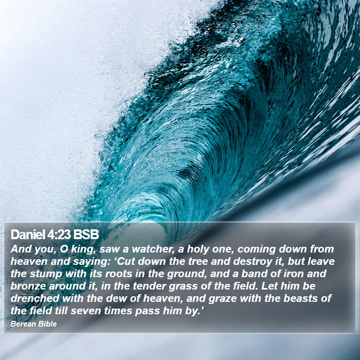 Daniel 4:23 BSB Bible Study