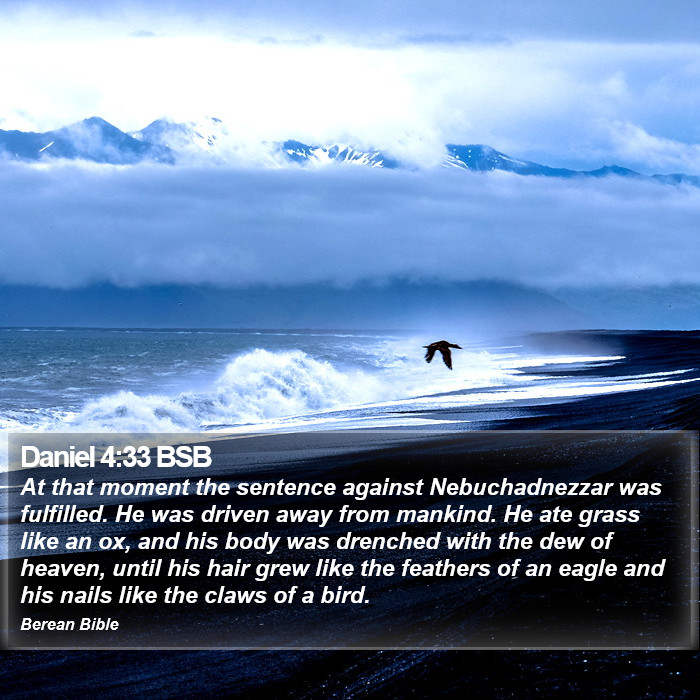 Daniel 4:33 BSB Bible Study