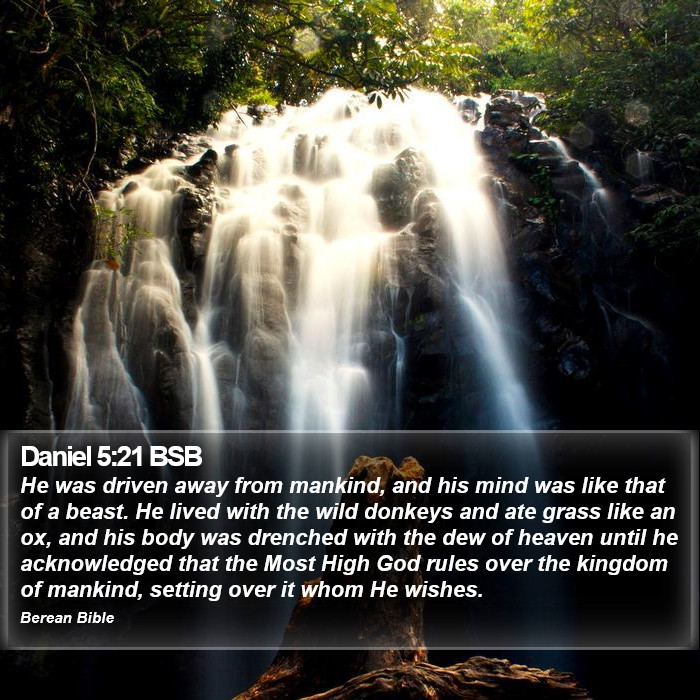 Daniel 5:21 BSB Bible Study