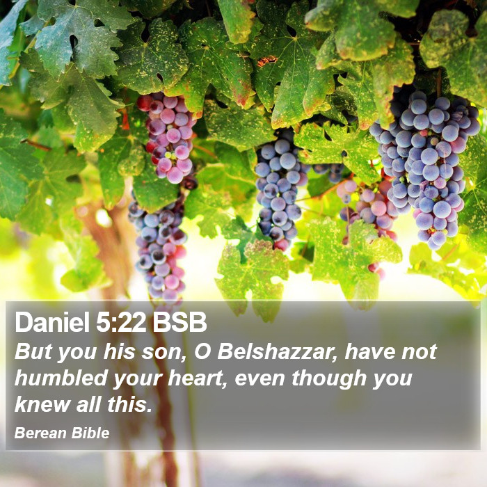 Daniel 5:22 BSB Bible Study