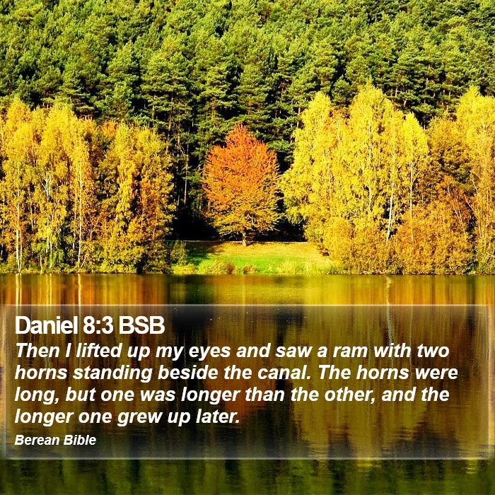 Daniel 8:3 BSB Bible Study