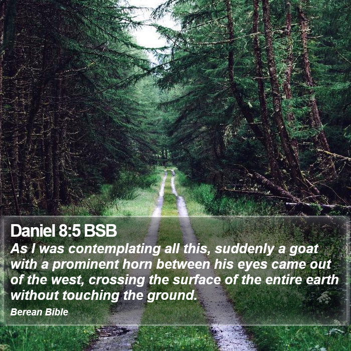 Daniel 8:5 BSB Bible Study