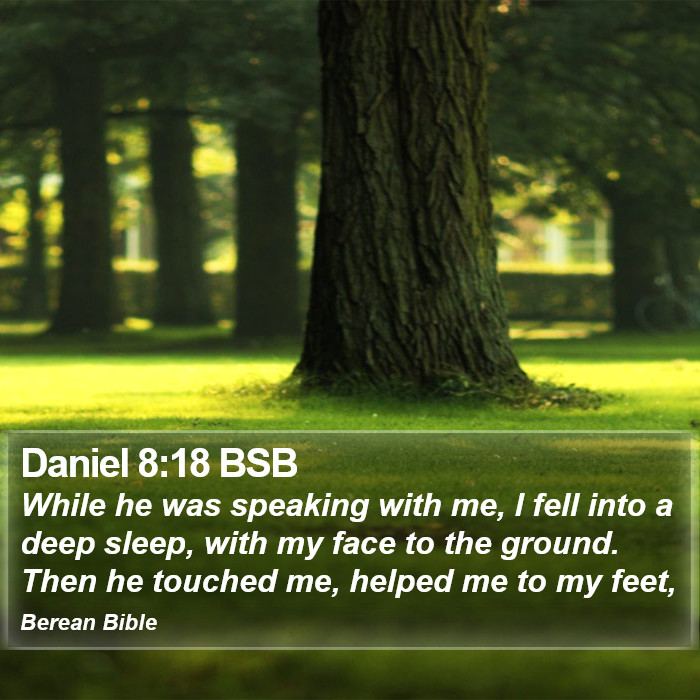 Daniel 8:18 BSB Bible Study