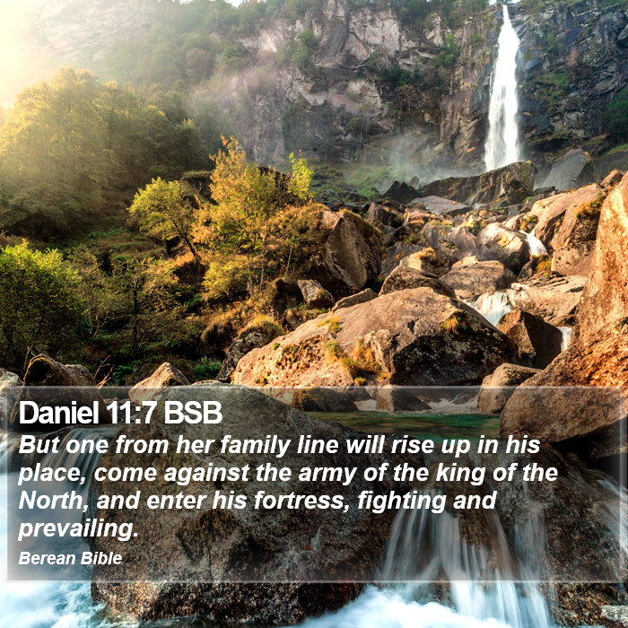 Daniel 11:7 BSB Bible Study