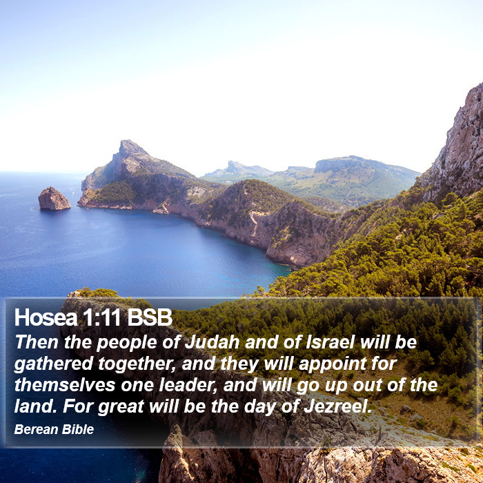 Hosea 1:11 BSB Bible Study