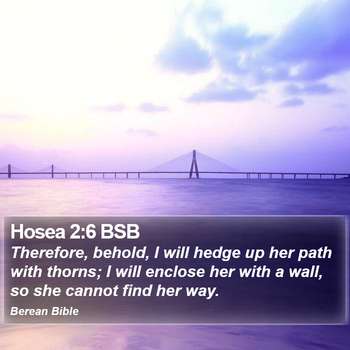 Hosea 2:6 BSB Bible Study