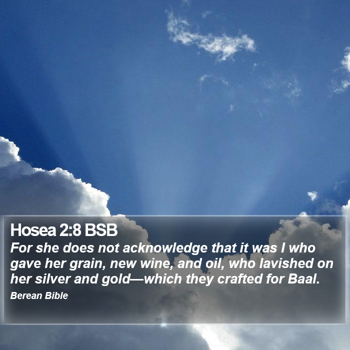 Hosea 2:8 BSB Bible Study