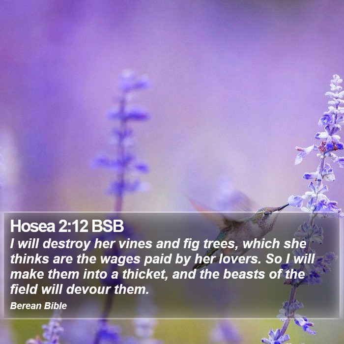 Hosea 2:12 BSB Bible Study