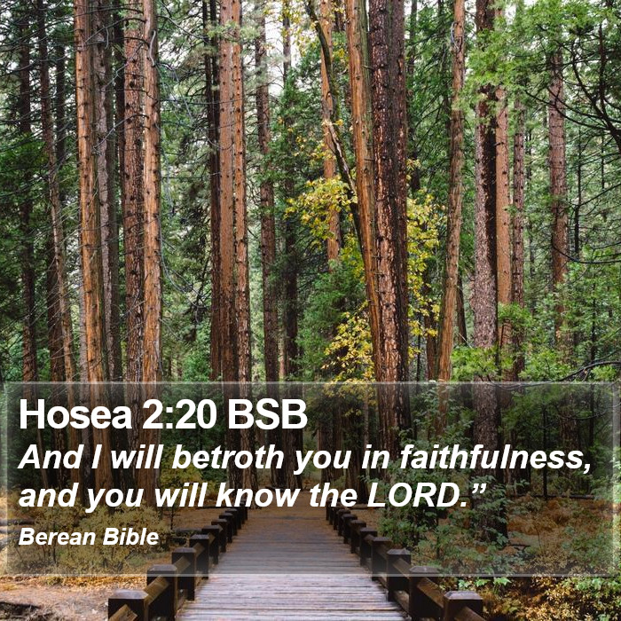 Hosea 2:20 BSB Bible Study