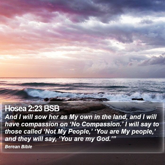 Hosea 2:23 BSB Bible Study