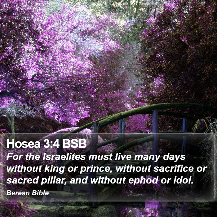 Hosea 3:4 BSB Bible Study