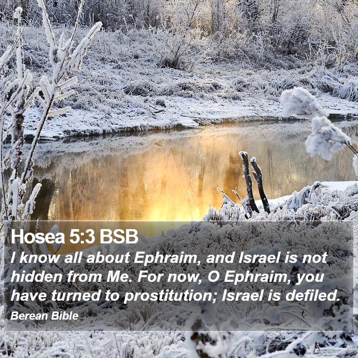 Hosea 5:3 BSB Bible Study