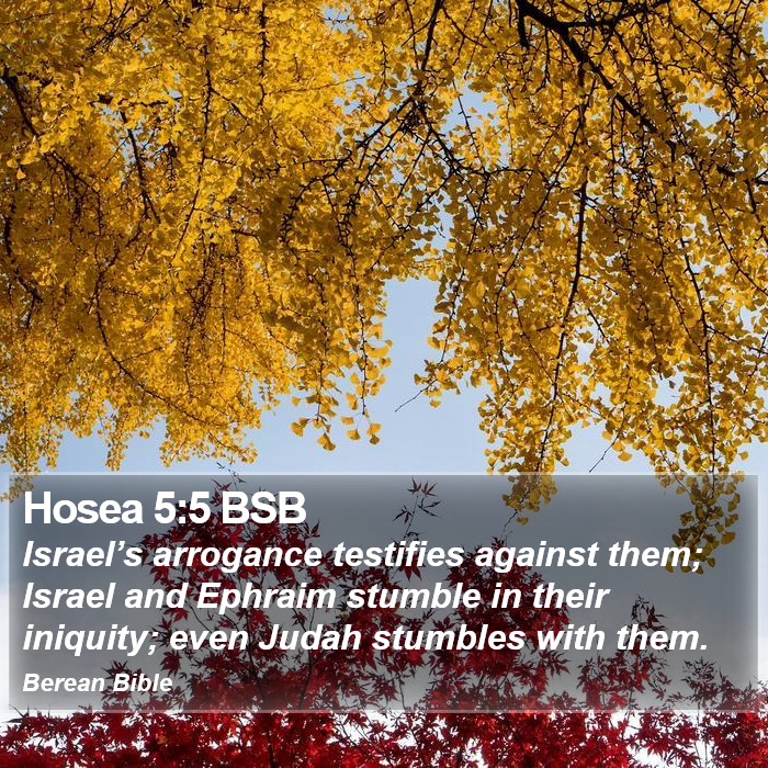 Hosea 5:5 BSB Bible Study