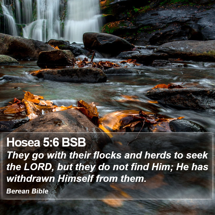 Hosea 5:6 BSB Bible Study