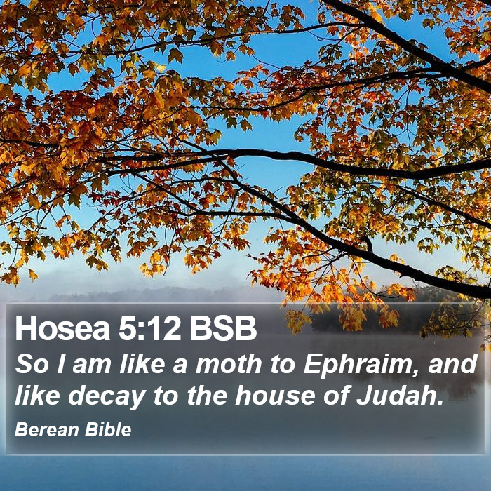 Hosea 5:12 BSB Bible Study