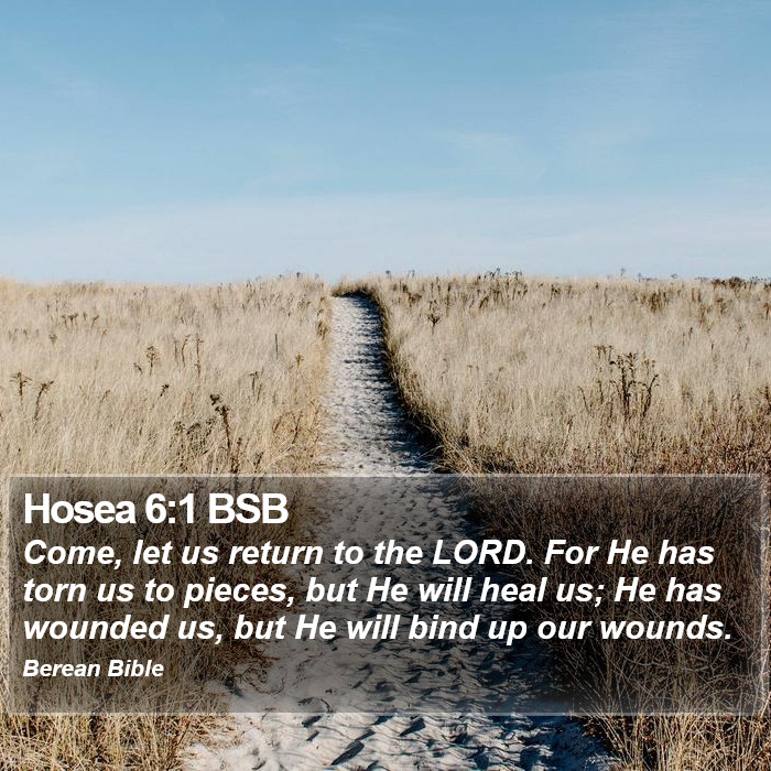 Hosea 6:1 BSB Bible Study