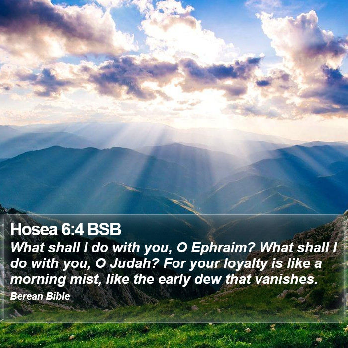 Hosea 6:4 BSB Bible Study