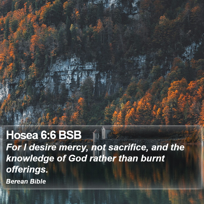 Hosea 6:6 BSB Bible Study