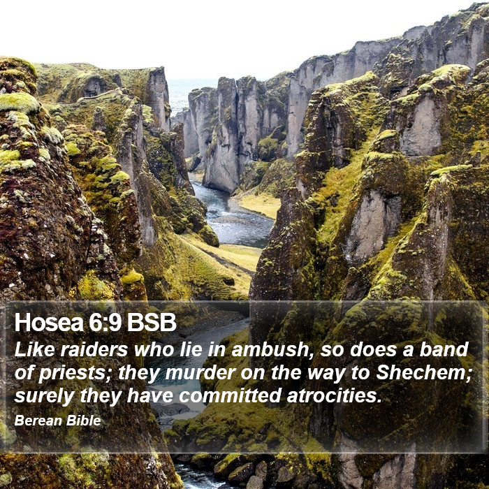 Hosea 6:9 BSB Bible Study