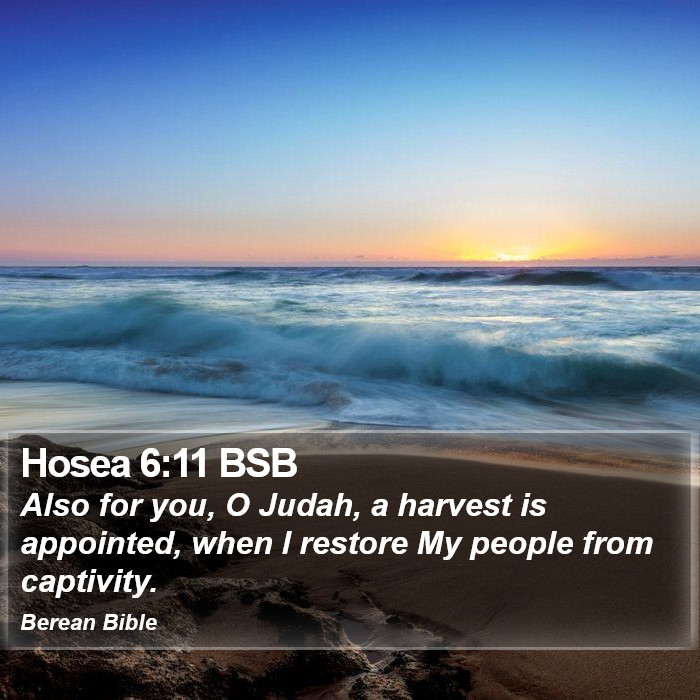 Hosea 6:11 BSB Bible Study