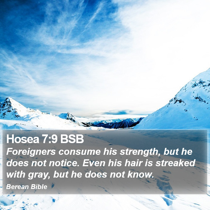 Hosea 7:9 BSB Bible Study