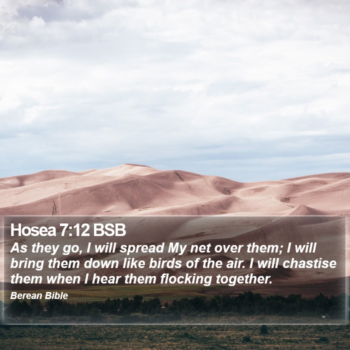 Hosea 7:12 BSB Bible Study