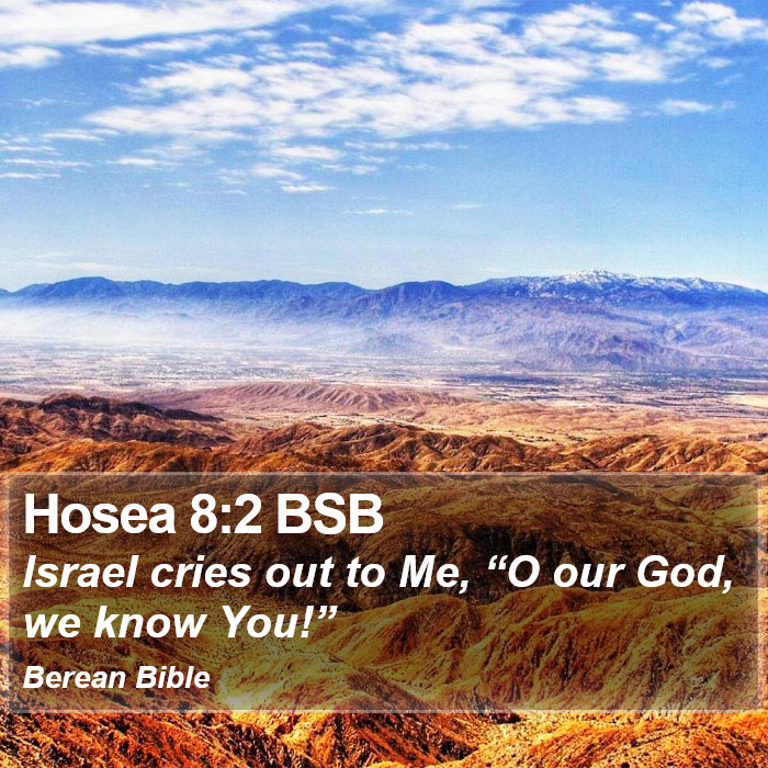 Hosea 8:2 BSB Bible Study