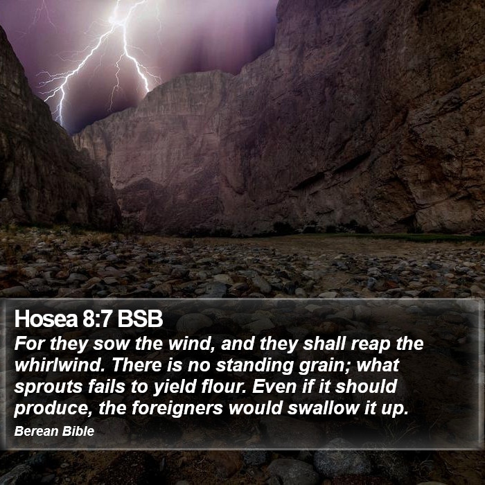 Hosea 8:7 BSB Bible Study