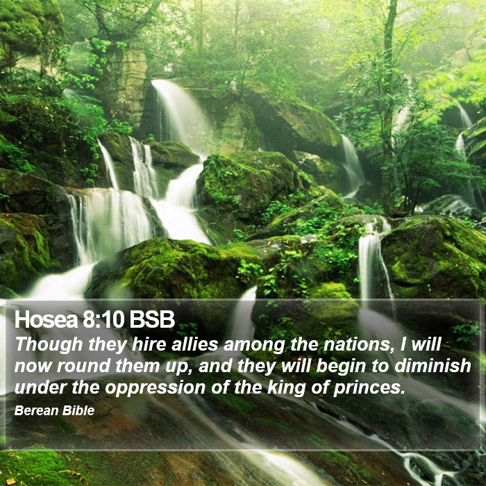 Hosea 8:10 BSB Bible Study